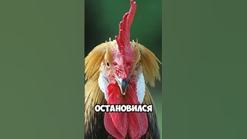 РАН БУСТ НЕ УДАЛСЯ 😔 twitch.tv/glasgoo #csgo #cs2 #cs #ксго #cs2clips #twitch #twitchclips #shorts