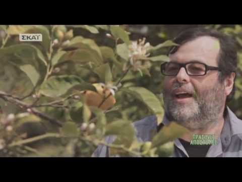 Βίντεο: Ποικιλίες φρούτων - Πληροφορίες σχετικά με την ταξινόμηση των φρούτων
