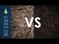 Mulch vs Compost - An Accidental Experiment