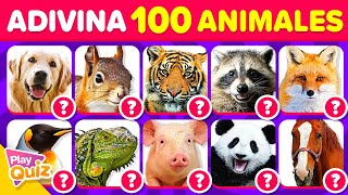 Adivina 100 Animales en 2 Segundos | PlayQuiz Trivia  Quiz Animales