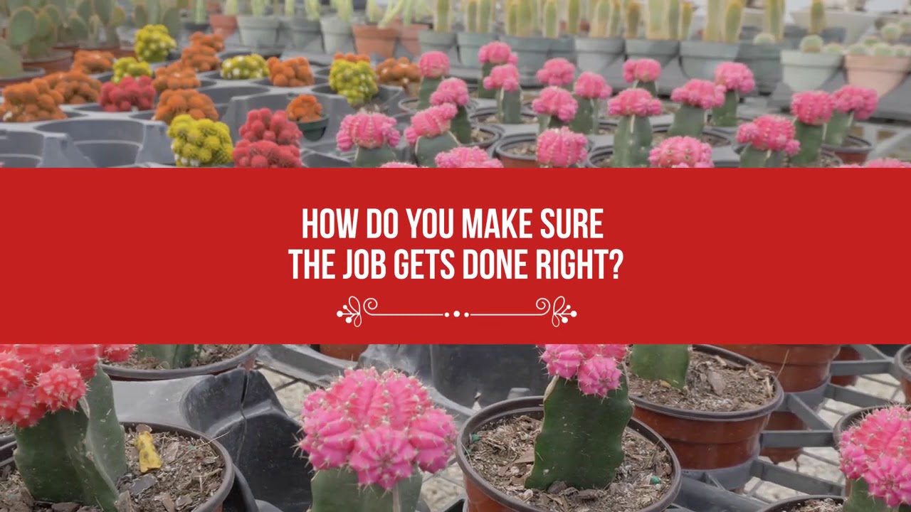 Nurseries-Plants & Trees in Miami FL, details at YellowPages.com - YouTube