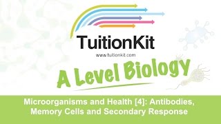 Microorganisms and Health [4]: Antibodies, Memory Cells and Secondary Response (High band Biology)