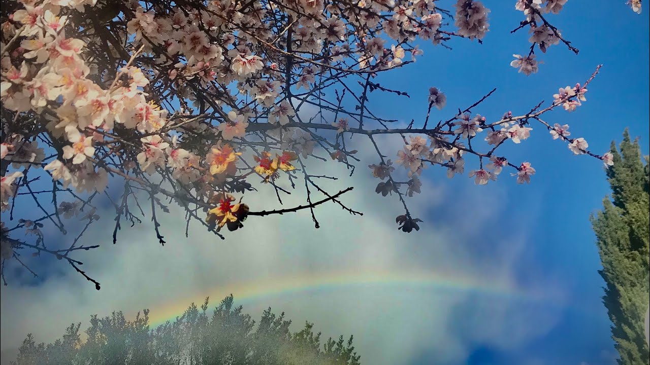 Psalm 33 Ein Loblied auf Gottes Macht und Hilfe ( Schlachter )