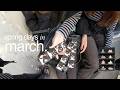the start of spring in paris / starting a fashion internship