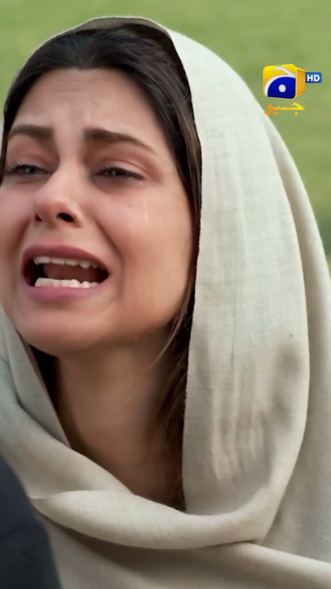 Nafrat Hai Mujhe Tum Se Nayab #dilenadan #shorts