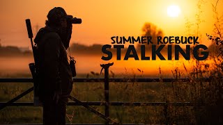 Summer Roebuck Stalking