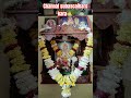 श्री स्वामी समर्थ#shorts #trending #swamisamarth #swami #marathi #akkalkotswamisamarthmaharajkijay