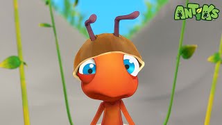 who s fastest ant more antiks cartoons kids moonbug kids