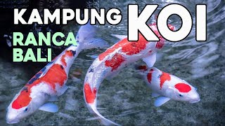 KAMPUNG KOI DESA SUKARESMI KEC. RANCABALI