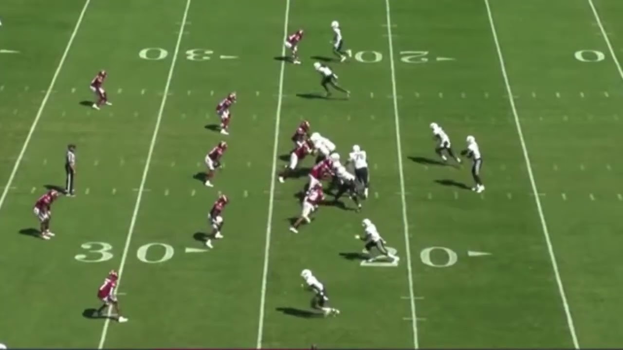 QB Power Fake, Pass (Seam Route) to RB for Long TD, Nice Execution - Dynamic Play Review