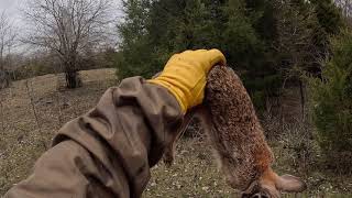 🔥Middle Tn Rabbit Hunt🔥KillShots🔥#viral #gopro #subscribe #like #fypシ #youtube #rabbithunting