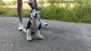 Ikea Plushie Husky Trample & Destruction Soaked, Crushed, Trampled & Ripped Apart Teddy Trample