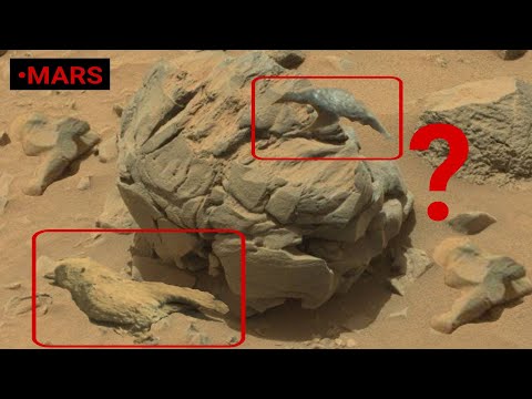 Nasa&rsquo;s Mars Perseverance Rover Sends Fascinating Pictures - Curiosity Mission Update [2021 - 2022]