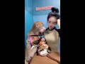 Baboon Helps Little Monkey Dress Up! 🐒👕 #Spiritmonkey