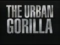 National Geographic: The Urban Gorilla (1992)