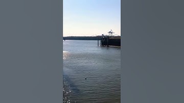 🌼🌿🌼القارئ  إسلام صبحي مع جمال الطبيعة🌼🌿🌼☀️☀️راحة وطمأنينة ☀️