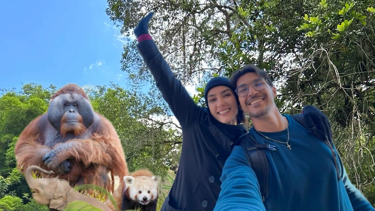 Explorando Dublin Zoo 🦒 | O Zoológico Mais Famoso da Irlanda!