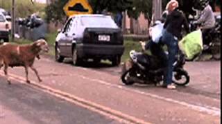 Best funny Fail GIFs for Ever