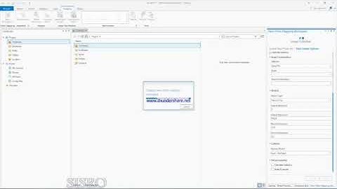 Ortho Mapping in ArcGIS