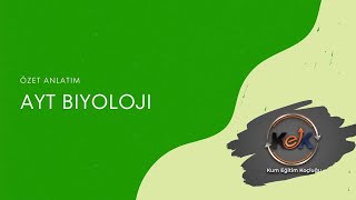 Si̇ndi̇ri̇m Si̇stemi̇