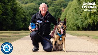 Lifetime Achievement Award 2022 - PC Ian Sweeney and Police Dog Logan from Humberside Police