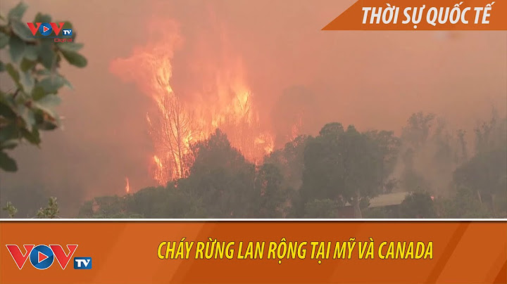 Hạn hán làm cháy rừng trong tiếng anh là gì