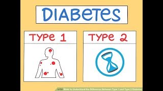5 Differences Between Type 1 and Type 2 Diabetes - halki diabetes remedy really work