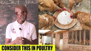 When Starting a Poultry Farm, Consider This. Part 2 Dr Isa  Luigare
