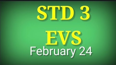 EVS STD 3 Kite victers online class supportive video