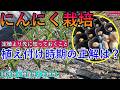【2026 にんにく栽培】今年は植え付け待った方がいい！今植えると失敗する確率しか上がらない｜後半パート：植え付ける方へ成功の6原則公開の２本仕立て