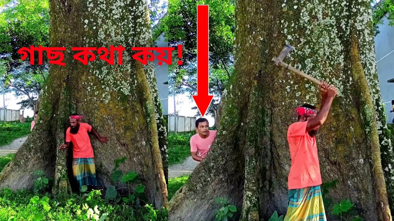 গাছ কথা কয় নাকি