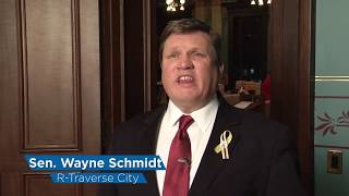 Sen. Schmidt Reacts To 2019 State Of The State
