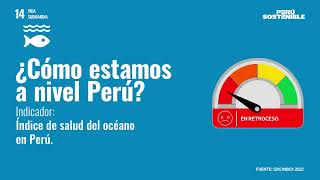 ODS 14 Vida submarina