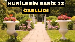 Huri̇leri̇n Eşsi̇z 12 Özelli̇ği̇ - Cennet Hayati - Volkan Aksoy Resimi
