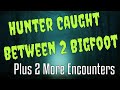 3 Stories - Caught between two Bigfoot, Teen sees Bigfoot and Boys See Bigfoot Eating Berries.