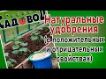 НАТУРАЛЬНЫЕ УДОБРЕНИЯ (о положительных и отрицательных свойствах)