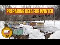 Winter Beekeeping Tips: How to Keep Your Bees Alive in Cold Weather
