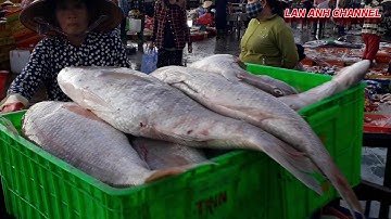 Cảng Cá LaGi Vào Buổi Sáng