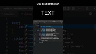 Stunning CSS Reflection Effect | HTML & CSS | Beginner-Friendly