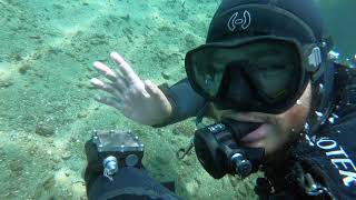 Great Visibility at Ti Point 🦑