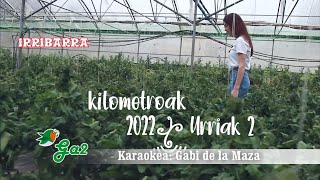 Irribarra (Kilometrak 2022)