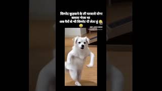 #ai #learning #puppy #dance#powerstar