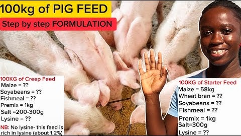 How to Prepare 100KG of PIG FEED| Creep feed and  Starter Feed for Pigs