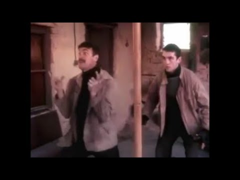 \"უძინართა მზე\"  - \"ფულის მაგივრად სხვა რამე რომ შემოგთავაზოთ?\" (udzinarta mze)