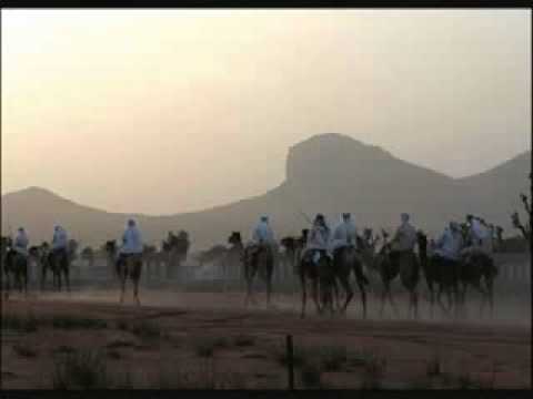 شده القافله ابو طمزه بقيلي 