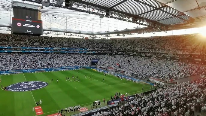 Public Space] Deutsche Bank Park Stadium-the home of the football club Eintracht Frankfurt, Germany - YouTube