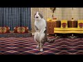 ПРИКОЛЫ С ЖИВОТНЫМИ ДО СЛЕЗ / Смешные КОТЫ 2021 / Приколы с КОТАМИ / Funny ANIMALS video #32