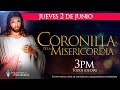 Coronilla de la Divina Misericordia de hoy jueves 2 de junio y Hora Santa Arquidiócesis de Manizales