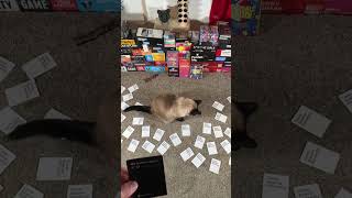 Cards Against Humanity