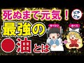 【老化防止・健康】死ぬまで元気でいるために40代50代が使うべき油とは【うわさのゆっくり解説】